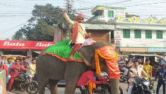 হাতির পিঠে চড়ে রাজকীয় বরযাত্রা, কনে এলো পালকিতে