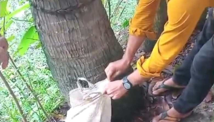 ব্যাগের ভেতর থেকে নবজাতক উদ্ধার, শরীরজুড়ে অসংখ্য পিঁপড়া