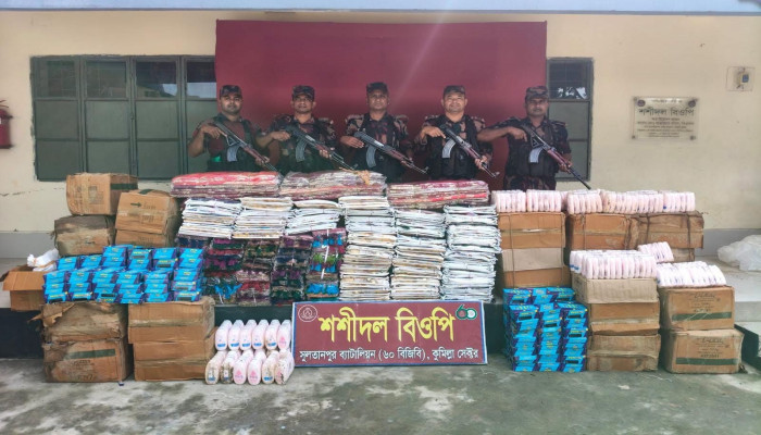 সুলতানপুর সীমান্তে ৫০ লাখ টাকার ভারতীয় চোরাচালানি পণ্য জব্দ