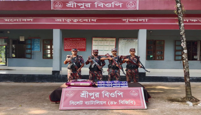 সিলেট সীমান্তে পৃথক অভিযানে ৭১ লাখ টাকার চোরাচালানি পণ্য জব্দ