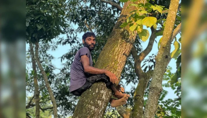 ক্র্যাচে ভর দিয়ে হাঁটেন, গাছের মগডালে উঠে সংসার চালান একরামুল