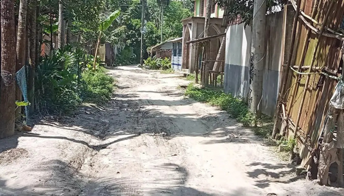 সংস্কারের কথা বলে ইট তুলে নিলেন চেয়ারম্যান, চার মাসেও শুরু হয়নি কাজ