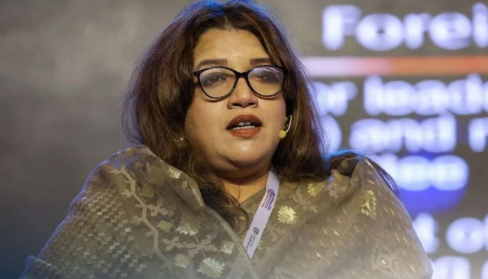 দাবার বোর্ড হতে চাই না, আমরা আমাদের নিজেদের শর্তে খেলতে চাই: পররাষ্ট্র প্রতিমন্ত্রী