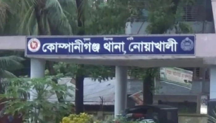 কোম্পানীগঞ্জে সড়ক সংস্কারের ট্রাকের ধাক্কায় বৃদ্ধা নারীর মৃত্যু