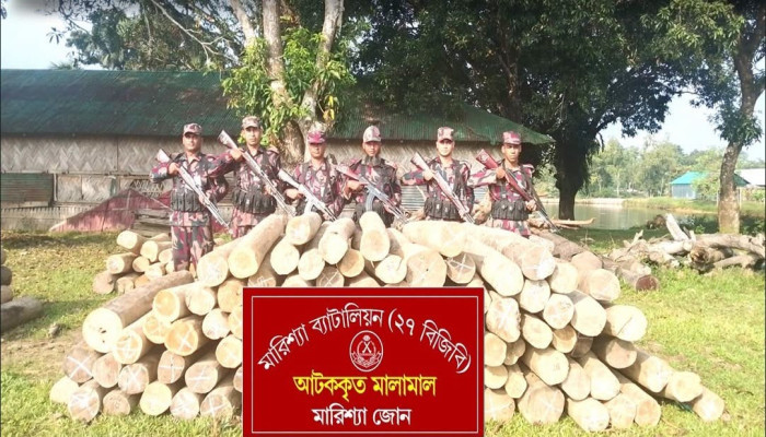 বাঘাইছড়িতে বিজিবির অভিযানে সাড়ে ৪ লাখ টাকার অবৈধ সেগুন কাঠ জব্দ