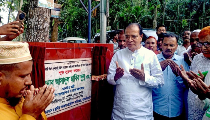 এলাকার উন্নয়নে নিরন্তর কাজ করে যেতে চাই: আসাদুল হাবিব দুলু