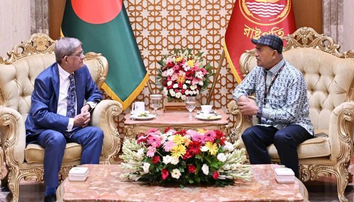 রাষ্ট্রপতির সঙ্গে বিএনপি চেয়ারম্যানের উপদেষ্টা আলালের সাক্ষাৎ